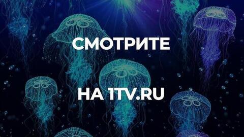 «Арктический трилистник. Русский форпост». Документальный фильм