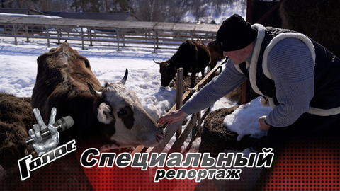 Простой деревенский КВНщик и певец. Как Иван Степанов покорил Пелагею и зрителей Первого канала. Голос. Специальный репортаж