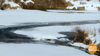 Большая река начинается с ручейка... Доброе утро. Фрагмент