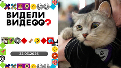 Видели видео?