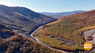 Выходим на тропу! Экологическую... Доброе утро. Фрагмент