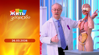 Рак — не приговор; тест-экспертиза йогуртниц; эпилепсия; что происходит в ваших глазах. Жить здорово!