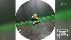 Секс-индустрия. Человек и закон. Фрагмент