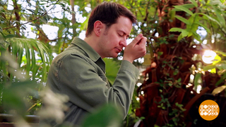 Аромат новых впечатлений. Доброе утро. Суббота. Фрагмент