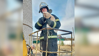 Сотрудники МЧС спасли застрявшего на водонапорной башне кота в Тверской области