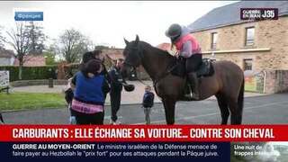 Француженка пересела с автомобиля на лошадь из-за роста цен на бензин
