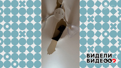 Соболь на потолке. Видели видео? Фрагмент