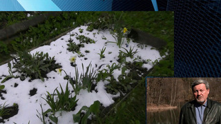 В Гидрометцентре посоветовали дачникам позаботиться о растениях на фоне заморозков