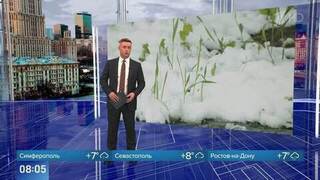 Появились кадры обрушившегося на Крым мокрого снега