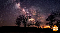 Дотянуться до звезд! Доброе утро. Фрагмент