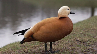 Весна возвращается в столичный регион, в выходные уже ощутимо потеплеет