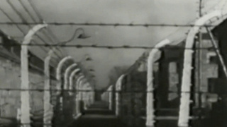 11 апреля во всем мире отмечается день освобождения узников фашистских концлагерей