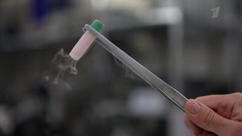 Трагедия эмбрионов. Биологический отец против. Пусть говорят. Анонс