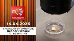 Трагедия эмбрионов. Биологический отец против. Пусть говорят