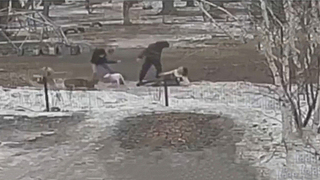 Пьяный мужчина избил и натравил собаку на женщину в Омске