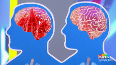 Когда усталость — болезнь: не просто выгорание, а сбой системы. Жить здорово! Фрагмент выпуска от 15.04.2026