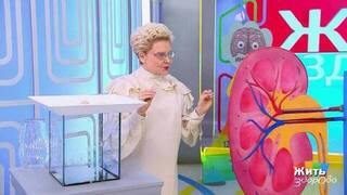 Давление и один тест — твой прогноз на жизнь. Жить здорово! Фрагмент