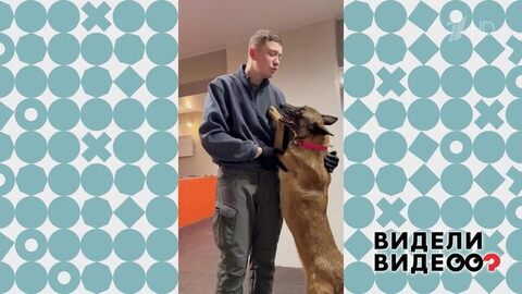 Самый лучший кинолог. Видели видео? Фрагмент