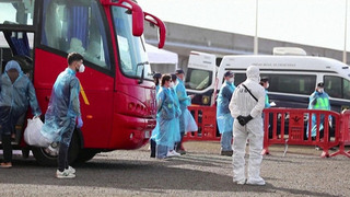 Из-за хантавируса ряд стран вводят усиленный контроль в аэропортах
