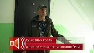 Ловец бездомных животных рассказал, что собаки не давали зайти в квартиру Леры Зимы