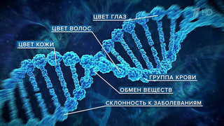 В ФМБА создали базу данных для диагностики генетических заболеваний россиян