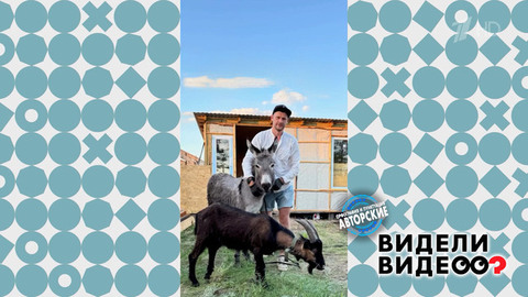 Осел, козел и потоп. Видели видео? Фрагмент
