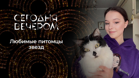 Звездные питомцы. Сегодня вечером