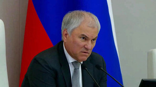Председатель Госдумы поручил подготовить обращение к зарубежным парламентам по Старобельску