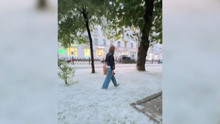 Российские регионы утопают в тополином пуху