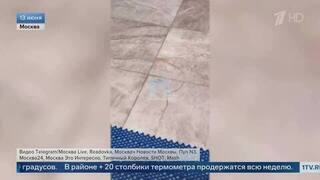 С потолка настоящий водопад: прошедший ливень затопил торговый центр в Москве