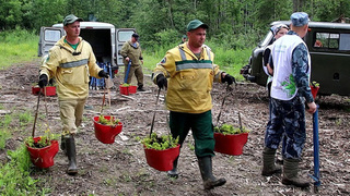 Сразу несколько регионов сегодня присоединились к акции «Сад памяти»