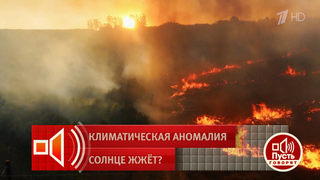 «Рост температуры на 5-6-8 градусов мы увидим уже в этом веке». Пусть говорят. Фрагмент выпуска от 22.06.2026