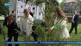 На Поклонной горе посадили дерево в честь военкора Анны Прокофьевой