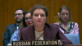 Российские представители в ООН ответили на обвинения в ударе по Киево-Печерской лавре