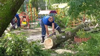 В Свердловской области ликвидируют последствия смерча