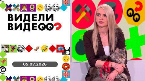 Признание в любви; высокие люди; усатый нянь; провинившийся кот; дерзкое вторжение. Видели видео?