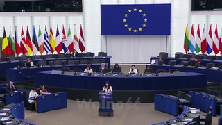 Польские депутаты Европарламента требуют осудить Зеленского