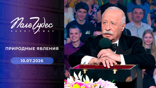 Природные явления. Поле чудес
