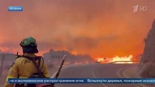 Появились кадры мощного лесного пожара на юго-востоке Испании