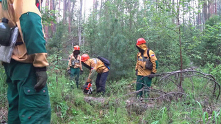 В Красноярский край стягивают силы из соседних регионов для борьбы с лесными пожарами
