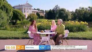 Сладко и без сахара: нутрициолог объяснила, как заготовить ягоды на зиму