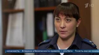 Сознание отключается: в МВД разъяснили, почему люди верят мошенникам