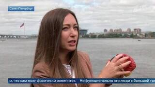 Дети и гаджеты: нейропсихолог раскрыла особенности мозга цифрового поколения