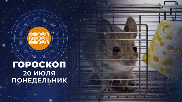 Гороскоп на 20 июля. Доброе утро. Фрагмент