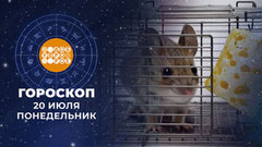 Гороскоп на 20 июля. Доброе утро. Фрагмент