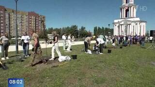 Аллея военкоров появилась в парке «Патриот» в Курске