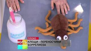 Удар по суставам: врачи рассказали о трех распространенных инфекциях летом
