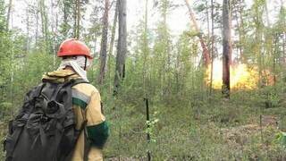 В Красноярском крае лесные пожары тушат контролируемыми взрывами: кадры