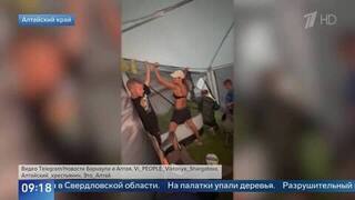 Дерево рухнуло на палатку туристов в Свердловской области, погибла женщина