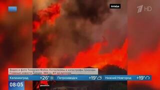 Пожары охватили турецкие провинции Анталья и Мугла: видео